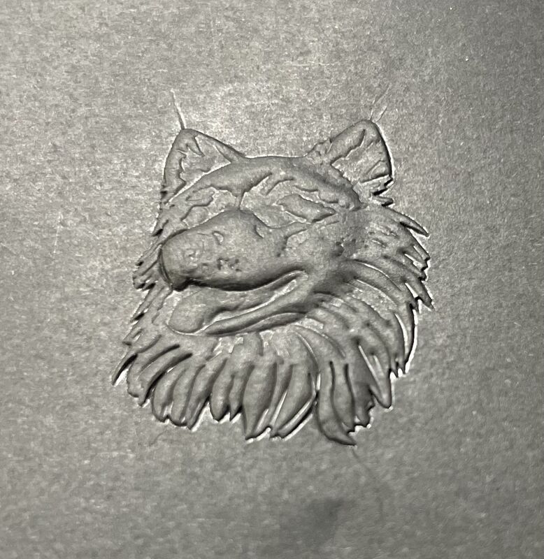 Tam yelpazede ambalaj kağıdı için otomatik sıcak folyo damgalama makinesi, renkli damgalama